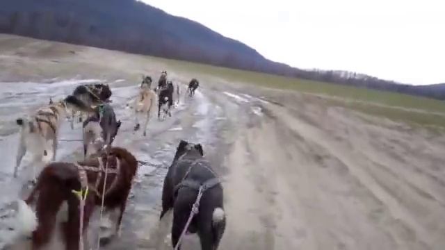 Join The SPAlaska.com Team On A Mushing Ride Part 2 смотреть онлайн