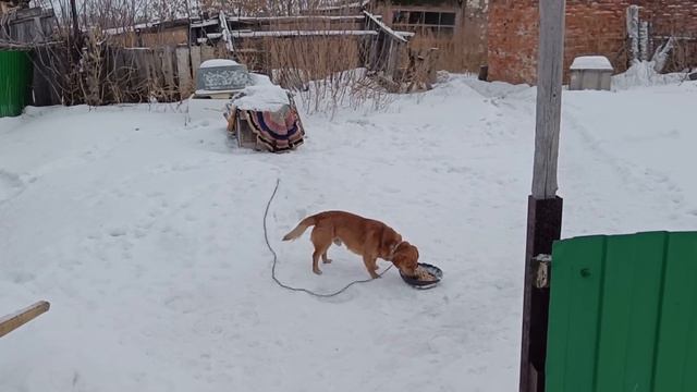 Простой и очень вкусный салат из рыбы минтай/ смотреть онлайн
