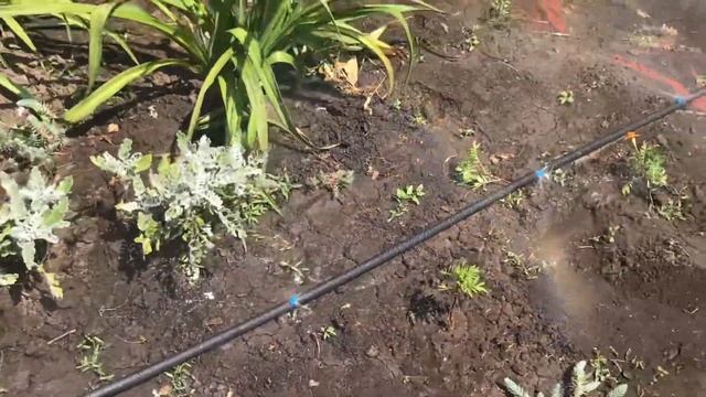 Полив.Микроджет полив.Полив Туман .установка полива.обзор полива микроджет