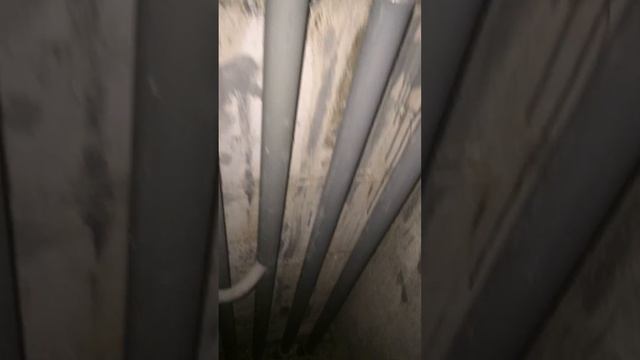 ЖК Медный Всадник 2 секция 12-12-14 6 этаж смотреть онлайн