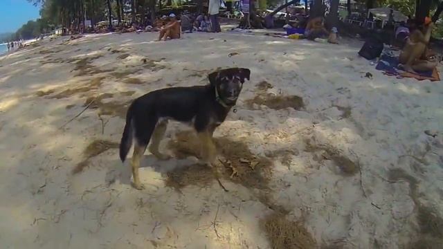 ПЛЯЖ БАНГ ТАО | BANG TAO BEACH (ТАЙЛАНД, ПХУКЕТ) \  NOMERCY RADIO - УРОКИ ГЕОГРАФИИ