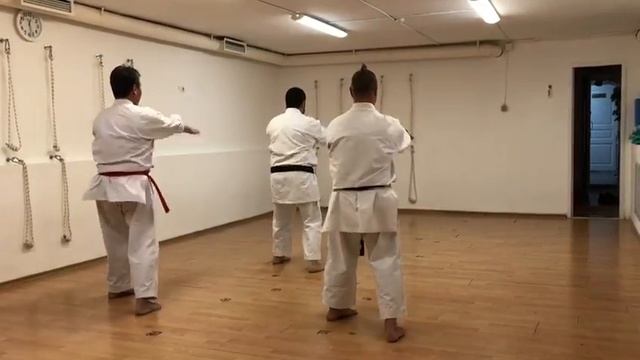 Kata Sanchin Uechi Ryu Karate / Sensei Totibadze 8 Dan, Sensei Garmaev 6 Dan, Sensei Rubin 4 Dan
