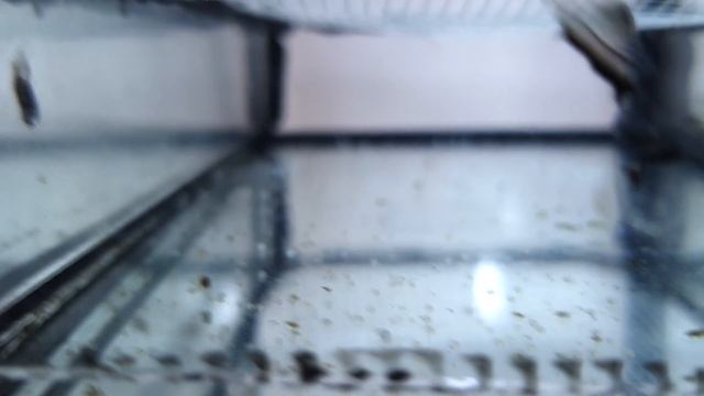 Разводня. Утро. Красный неон