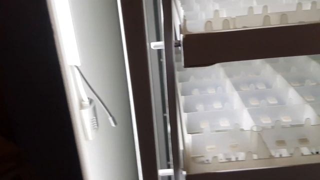 ОБЗОР И ОТЗЫВЫ ОБ ИНКУБАТОРЕ "БАЛАПАН" смотреть онлайн