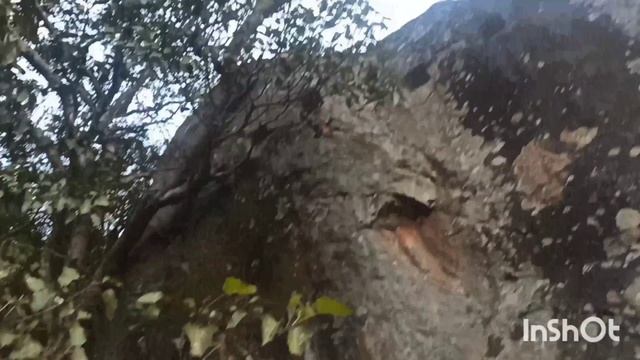 Сигерия | Шри-Ланка | Львиная скала | Sigiriya | Сигирия | видео зарисовки смотреть онлайн