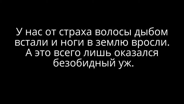 Рыбалка команда Буквоешки. смотреть онлайн