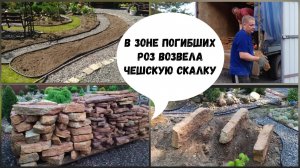 В зоне погибших роз возвела чешскую скалку