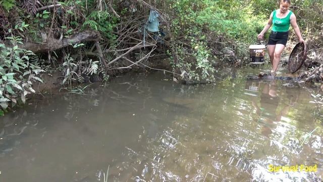 Survival Girl Catch Fish With Basket - Season Catch Fish In Stream