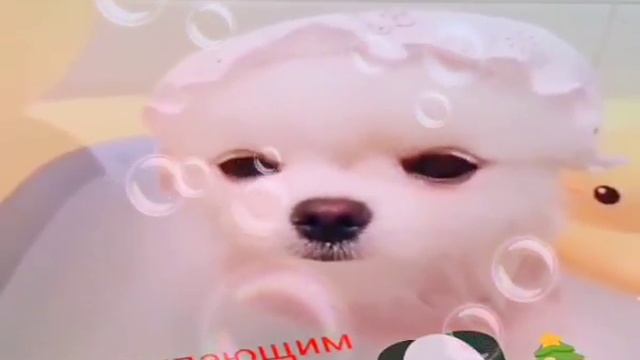 Милое и посдеднее нет сори камера ломалась