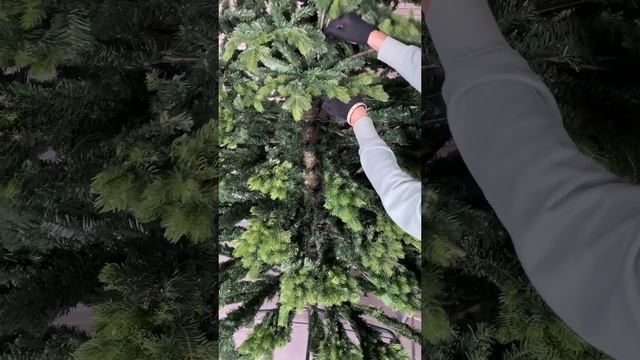 Ель MATILDA 300 см и 330 см раскладка смотреть онлайн