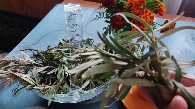 Домашний стол для всех 