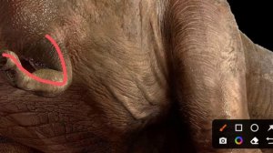 Тираннозавр из Мира Юрского Периода с Научной точки зрения