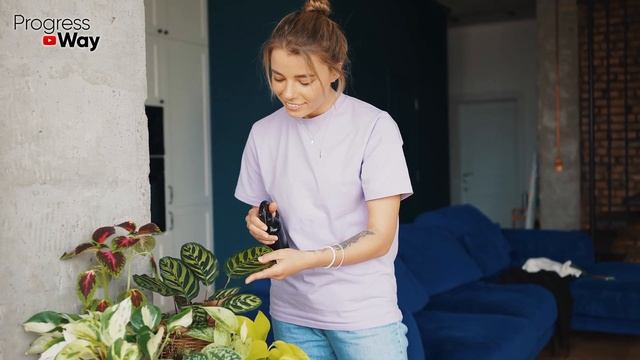 Рождественник, Декабрист И Аспирин смотреть онлайн