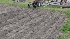 Испытание двойного окучника