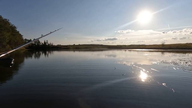 Какой ВОДОЁМ, такая и РЫБА! Ловля ЩУКИ на ВОБЛЕРЫ осенью! Рыбалка на СПИННИНГ! смотреть онлайн
