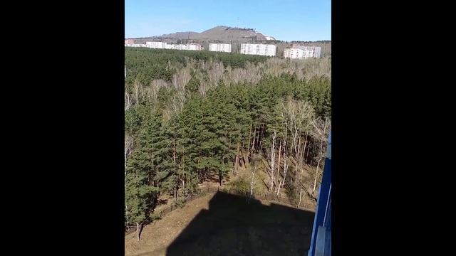 Лес Академгородка Красноярска хотят застроить смотреть онлайн