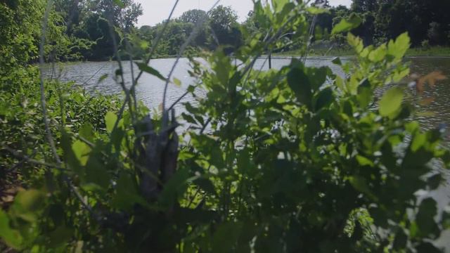 Fishing a TINY Pond HIDDEN in the WOODS!!! (After Historic Flooding!) смотреть онлайн