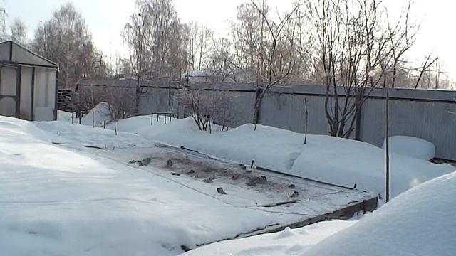 Ловля Щеглов тайником - Часть вторая. смотреть онлайн