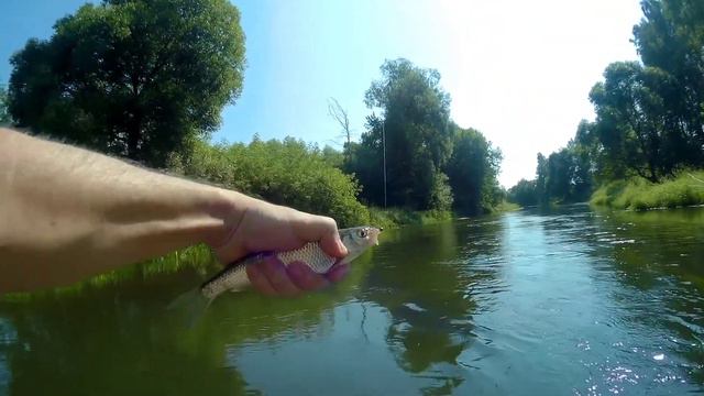 Мормышинг на р. Истра. смотреть онлайн