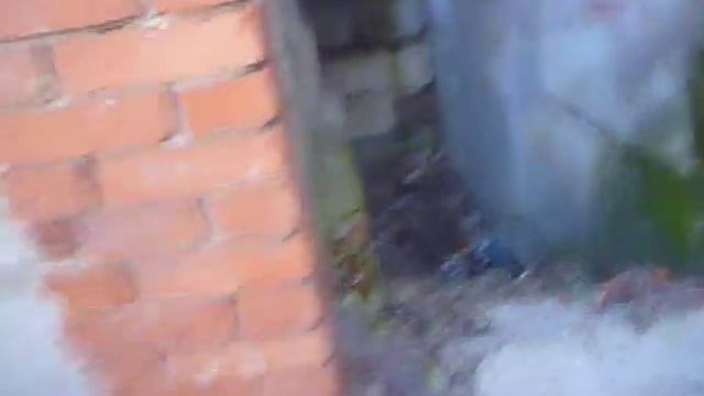 СТАЛК на заброшэной аптеке смотреть онлайн