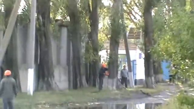 пиляли тополь смотреть онлайн