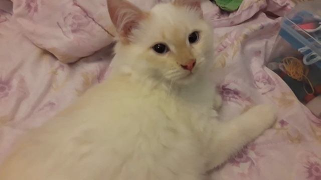 Гелий инертный газ. смотреть онлайн