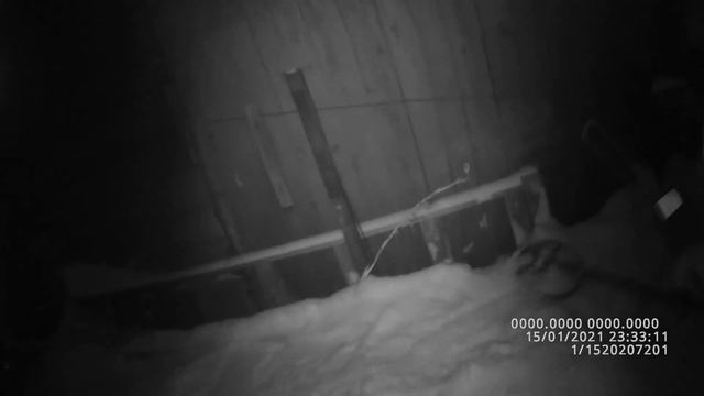 Поиск потерянных украшений из золота смотреть онлайн