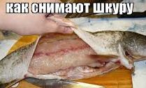 Как снять шкуру с щуки. смотреть онлайн