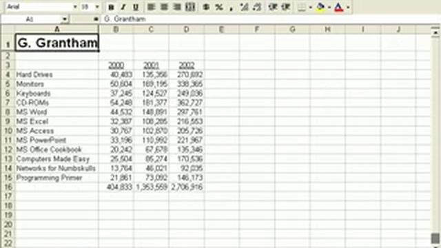 Excel 97 Expert Lesson 19 смотреть онлайн