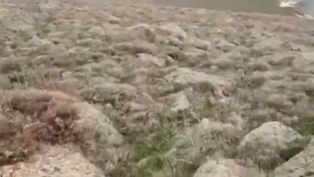 Азербайджанские войска перешли границу с Арменией смотреть онлайн