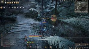 Black Desert Online Gathering - Snowfield Cedar Sap - 1 hour - 2023 Edition