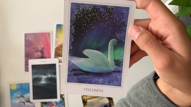 R15/ WE'RE DIVORCING BUT I MISS HIM-Relationship guidance-Free personalized anonymous oracle readin смотреть онлайн