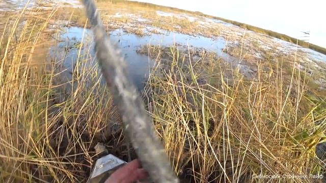 Утки было не много. Но пустыми мы не уехали. смотреть онлайн