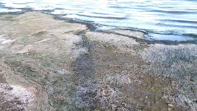 Прогулка на берег Волги в Волгограде 18.09.2021 ч.2 Walk on the banks of the Volga in Volgograd p. смотреть онлайн