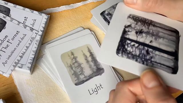 Time lapse Wisdom of the Forest oracle and meditation deck walkthrough смотреть онлайн