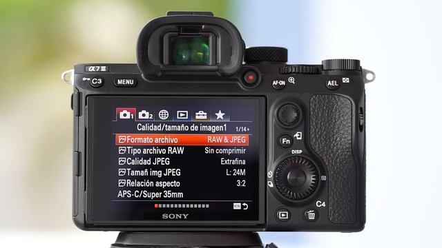 Los Mejores Ajustes Para Fotografía En La Sony A7 III / A7R III (Cómo Sacar El Máximo Provecho) смотреть онлайн