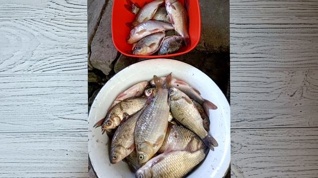 Вязальный эпизод. Не могу найти жирафа)) Лето,солнце,отдых и работа. Готовые работы и планы. смотреть онлайн