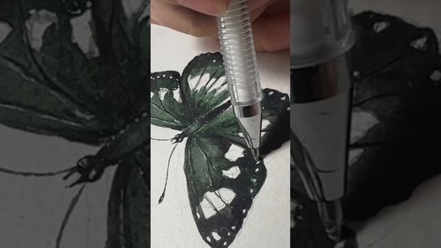 Ботаническая иллюстрация #4 Бабочка #иллюстрация #арт #акварель #акварельдляначинающих #живопись смотреть онлайн