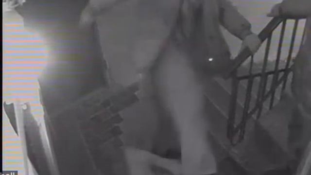в мире животных смотреть онлайн