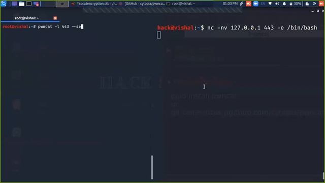 pwncat make stable Shell смотреть онлайн