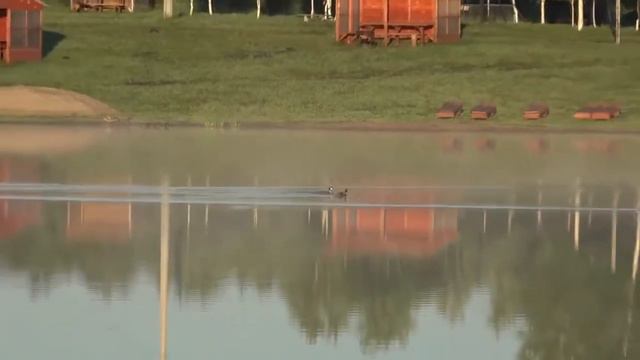 Рыбалка на "Клевом месте" 2021 год. смотреть онлайн