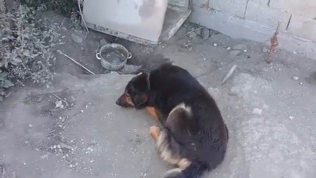 Пира. Маруся раз, два, три (01.10.2018) смотреть онлайн