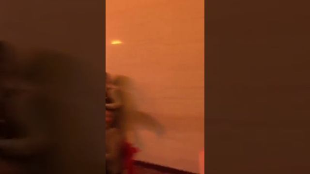 Love Story Mark&Damira Astana 2017 Предложение смотреть онлайн