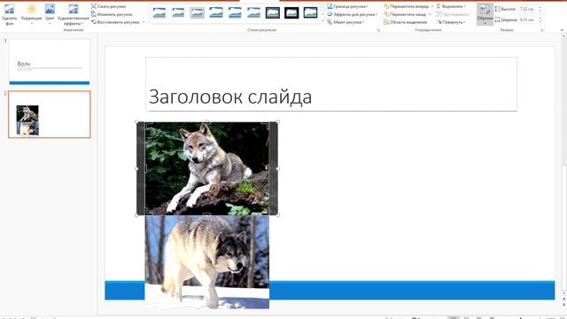 Урок 7 класс. Создание презентации смотреть онлайн