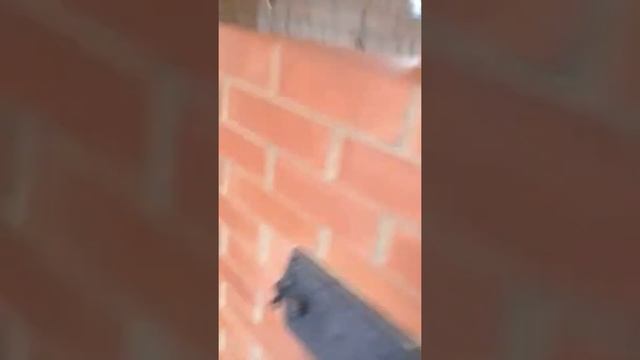 Банная печь каменка смотреть онлайн