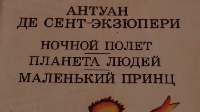 Маленький принц, буктрейлер, Прутова Юлия, Гимназия №5 г. Оренбург