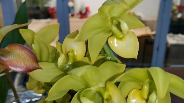 Подарки в день рождения. Фейерверк положительных эмоций. смотреть онлайн