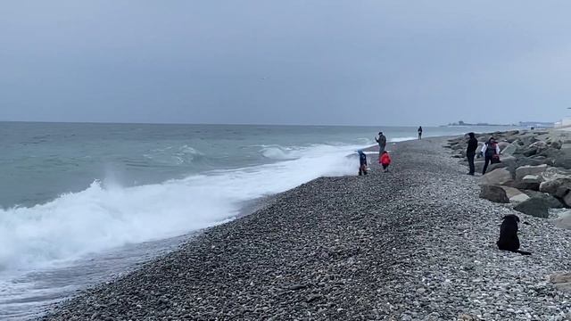 26.12.2022. Погода в Сочи в декабре. Смотри на Чёрное море каждый день. смотреть онлайн
