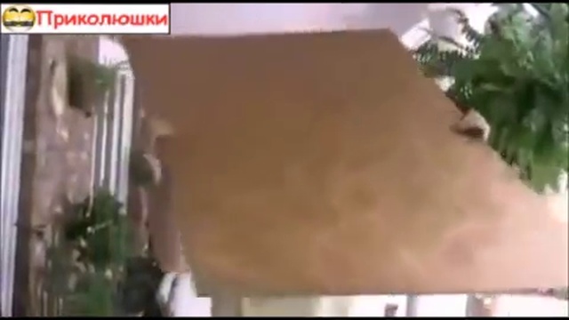 Фанерой по башке смотреть онлайн