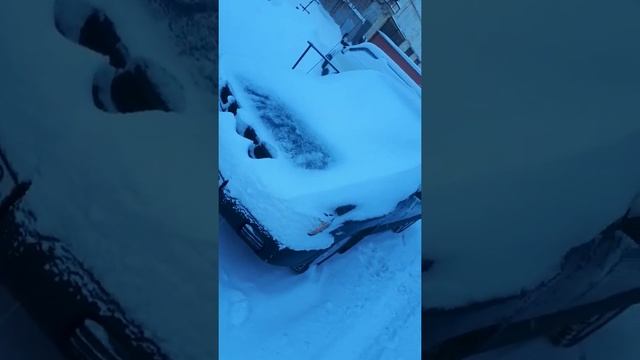 Субару форестер Sf 1998г 25d акпп.